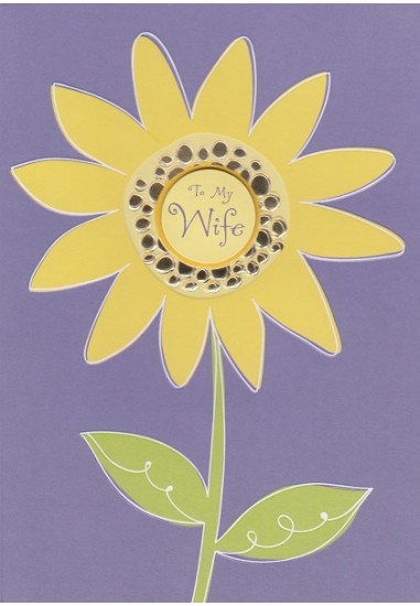 2223A WIFE